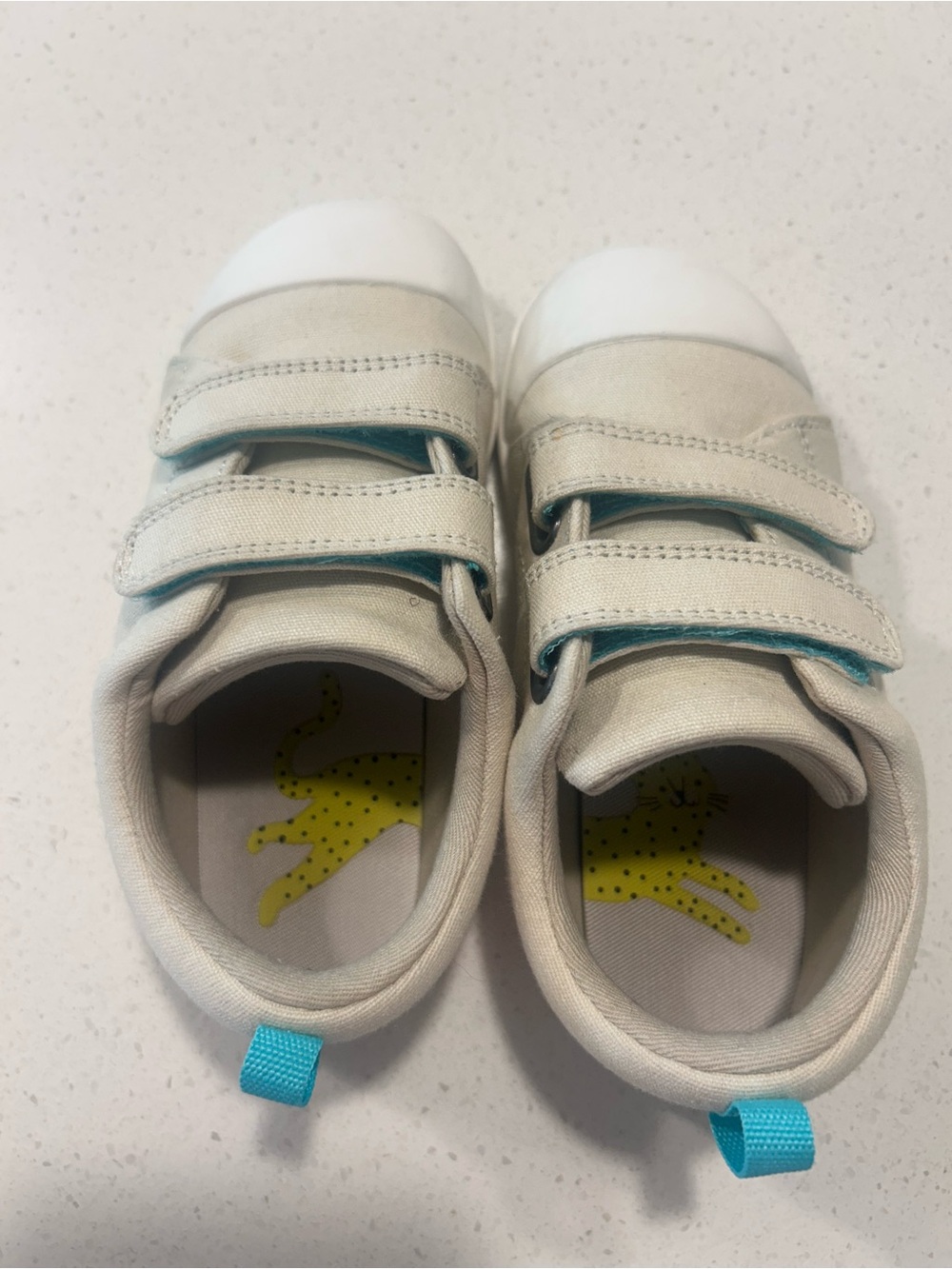 Ten Little Eco Canvas Sneakers in gray beige - Picture 2 of 4